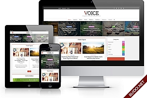 Voice v1.6 – Clean News/Magazine WordPress Theme