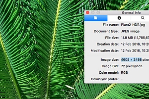 Hình ảnh đầu tiên được chụp từ Xiaomi Mi 5: vô cùng sắc nét!
