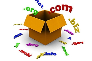 Vòng đời của 1 tên miền