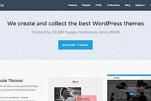 NamLee.Net tặng theme wordpress bản quyền tại theme-junkie.com