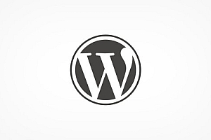 WordPress vừa kỷ niệm sinh nhật lần thứ 14 và đây là 25 sự thật thú vị về WordPress