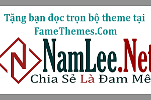 Tặng bạn đọc trọn bộ theme tại FameThemes.Com