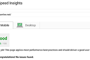 Google PageSpeed Insights là gì?