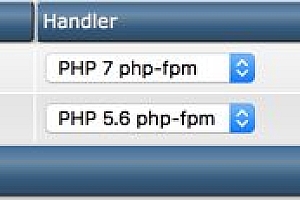 Hướng dẫn cài đặt song song 2 phiên bản PHP trên VPS sử dụng Directadmin