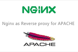 Hướng dẫn reverse-proxy NGINX + Apache trên Directadmin