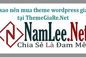 Tại sao nên mua theme wordpress giá rẻ tại ThemeGiaRe.Net