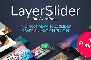 Hướng dẫn activate plugin LayerSlider WP v6.7.6 mới nhất