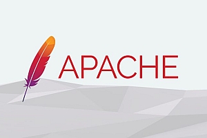 Hướng dẫn cập nhật Apache trên VPS sử dụng Directadmin